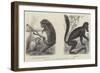 Animals at the Zoological Society's Gardens-null-Framed Giclee Print