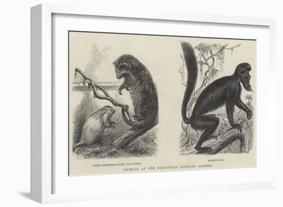 Animals at the Zoological Society's Gardens-null-Framed Giclee Print