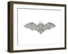 Animals Bat-Neeti Goswami-Framed Art Print