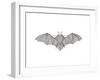 Animals Bat-Neeti Goswami-Framed Art Print