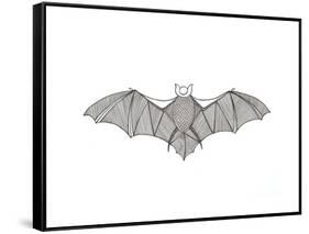 Animals Bat-Neeti Goswami-Framed Stretched Canvas