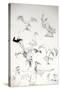 Animals (birds) 14, Eagles 1, 1992 (drawing)-Ralph Steadman-Stretched Canvas