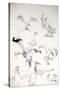 Animals (birds) 14, Eagles 1, 1992 (drawing)-Ralph Steadman-Stretched Canvas