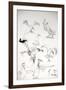 Animals (birds) 14, Eagles 1, 1992 (drawing)-Ralph Steadman-Framed Giclee Print