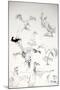 Animals (birds) 14, Eagles 1, 1992 (drawing)-Ralph Steadman-Mounted Giclee Print