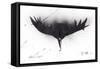 Animals (birds) 26, 1997 (drawing)-Ralph Steadman-Framed Stretched Canvas