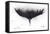 Animals (birds) 26, 1997 (drawing)-Ralph Steadman-Framed Stretched Canvas