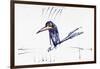 Animals (birds) 54 (drawing)-Ralph Steadman-Framed Giclee Print