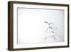 Animals (birds) 7 (drawing)-Ralph Steadman-Framed Giclee Print