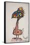 Animals (Birds) Additions 3, 2000 (drawing)-Ralph Steadman-Framed Stretched Canvas