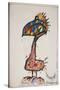 Animals (Birds) Additions 3, 2000 (drawing)-Ralph Steadman-Stretched Canvas