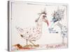 Animals (Birds) Additions 6, 2002 (drawing)-Ralph Steadman-Stretched Canvas