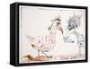 Animals (Birds) Additions 6, 2002 (drawing)-Ralph Steadman-Framed Stretched Canvas