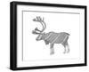 Animals Caribou-Neeti Goswami-Framed Art Print