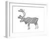 Animals Caribou-Neeti Goswami-Framed Art Print