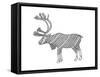 Animals Caribou-Neeti Goswami-Framed Stretched Canvas