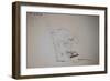 ANIMALS (CATS & DOGS) 11 (drawing)-Ralph Steadman-Framed Giclee Print