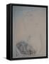 ANIMALS (CATS & DOGS) 3 (drawing)-Ralph Steadman-Framed Stretched Canvas