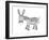 Animals Donkey-Neeti Goswami-Framed Art Print