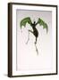 Animals (dragons, monsters, reptiles) (drawing)-Ralph Steadman-Framed Giclee Print