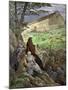 Animals Entering Noah's Ark before the Biblical Flood-null-Mounted Giclee Print