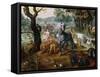 Animals Entering Noah's Ark-Jan van Kessel II-Framed Stretched Canvas