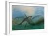 Animals (fish), Puukula Whale, 1987 (ink on paper)-Ralph Steadman-Framed Giclee Print