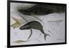 Animals (fish), Whale, 1987 (ink on paper)-Ralph Steadman-Framed Giclee Print