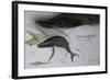 Animals (fish), Whale, 1987 (ink on paper)-Ralph Steadman-Framed Giclee Print