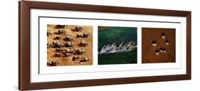 Animals from Above-Art Wolfe-Framed Art Print