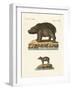 Animals from Hot Countries-null-Framed Giclee Print