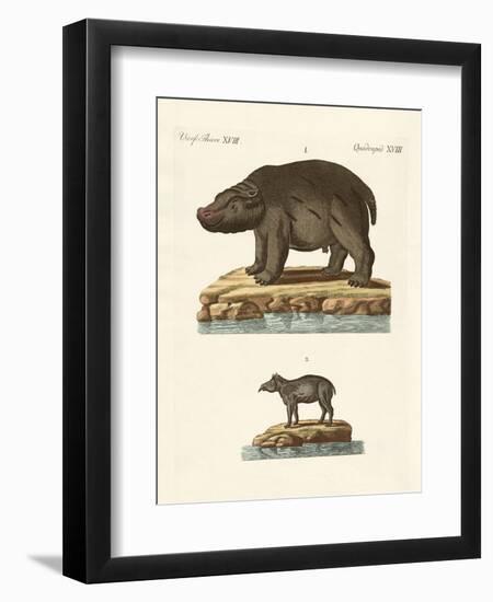 Animals from Hot Countries-null-Framed Premium Giclee Print