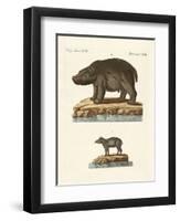 Animals from Hot Countries-null-Framed Premium Giclee Print