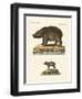 Animals from Hot Countries-null-Framed Premium Giclee Print