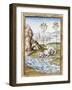 Animals - from the Fables of Bidpai-null-Framed Photographic Print