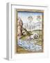 Animals - from the Fables of Bidpai-null-Framed Photographic Print