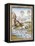 Animals - from the Fables of Bidpai-null-Framed Stretched Canvas