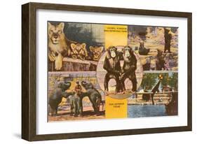 Animals from Zoo, San Antonio, Texas-null-Framed Art Print