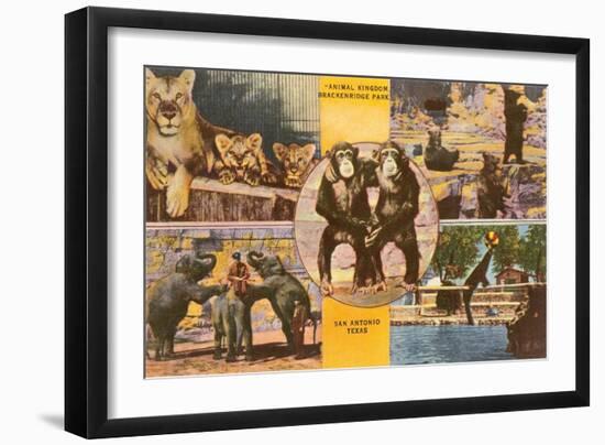 Animals from Zoo, San Antonio, Texas-null-Framed Art Print