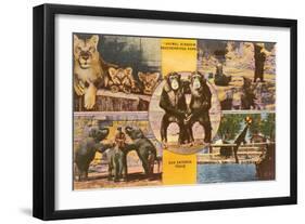 Animals from Zoo, San Antonio, Texas-null-Framed Art Print