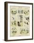 Animals' Games-null-Framed Giclee Print