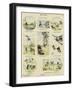 Animals' Games-null-Framed Giclee Print