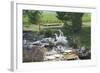 Animals Geese-Jeff Rasche-Framed Photographic Print