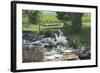 Animals Geese-Jeff Rasche-Framed Photographic Print