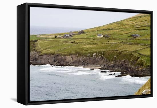 Animals Graze alongside the Atlantic Ocean-Hal Beral-Framed Stretched Canvas