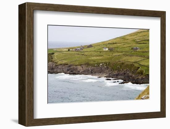 Animals Graze alongside the Atlantic Ocean-Hal Beral-Framed Photographic Print