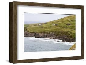 Animals Graze alongside the Atlantic Ocean-Hal Beral-Framed Photographic Print