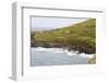 Animals Graze alongside the Atlantic Ocean-Hal Beral-Framed Photographic Print