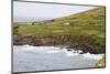 Animals Graze alongside the Atlantic Ocean-Hal Beral-Mounted Photographic Print