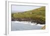 Animals Graze alongside the Atlantic Ocean-Hal Beral-Framed Photographic Print